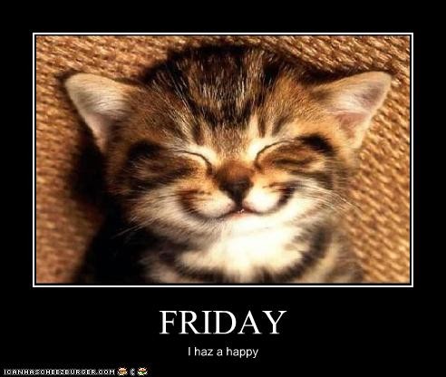 a friday cat