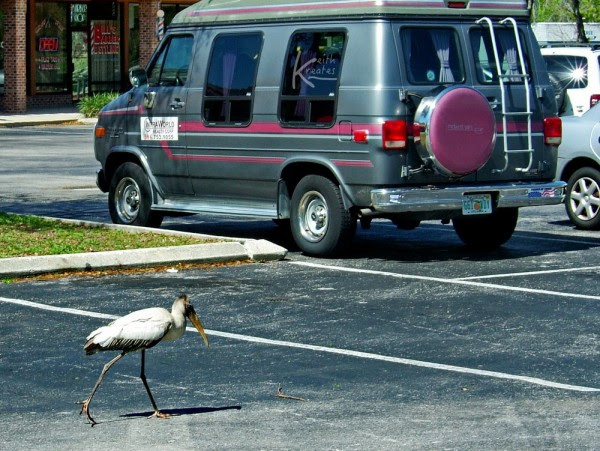 a van