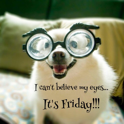 Funny Friday