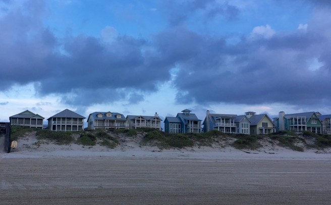 Cinnamon Shore