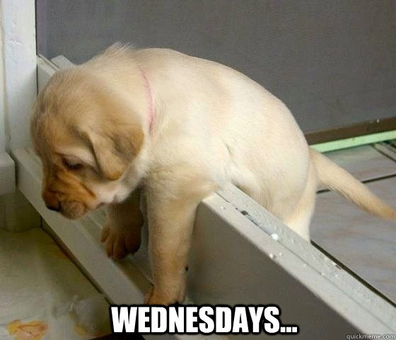 Hump Day