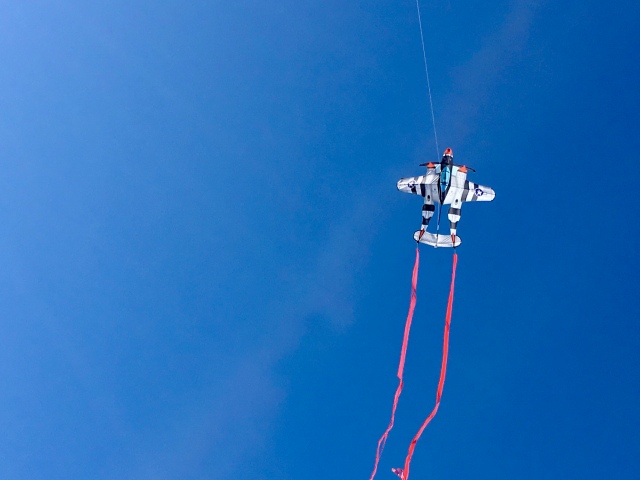 Kites over Port Aransas