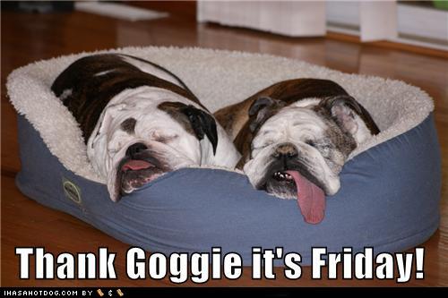 Funny Friday TGIF
