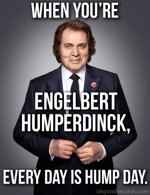 Hump Day