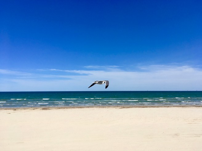 Normal beach