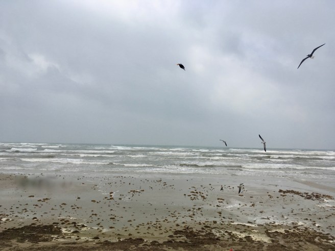 High Tides