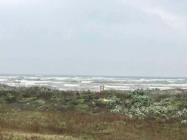 High Tide
