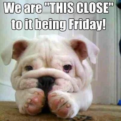 TGIF