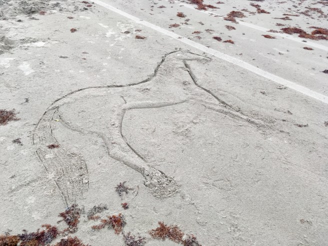 Sand drawings