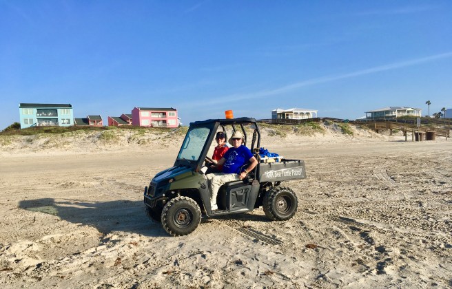 Turtle Patrol