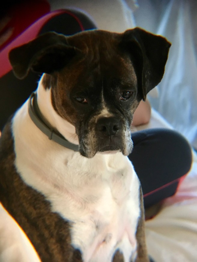 Bailey