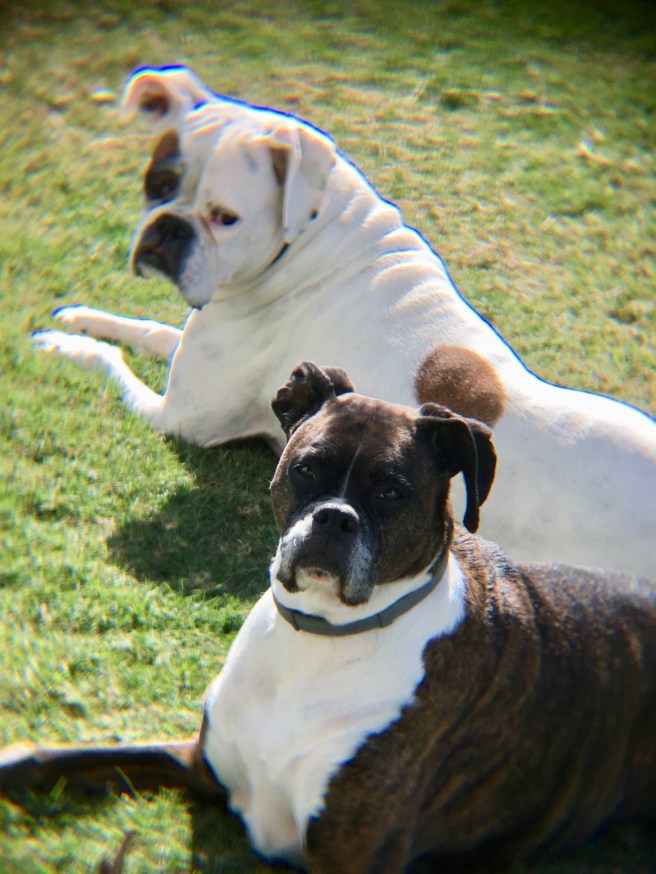 Lucy na d Bailey