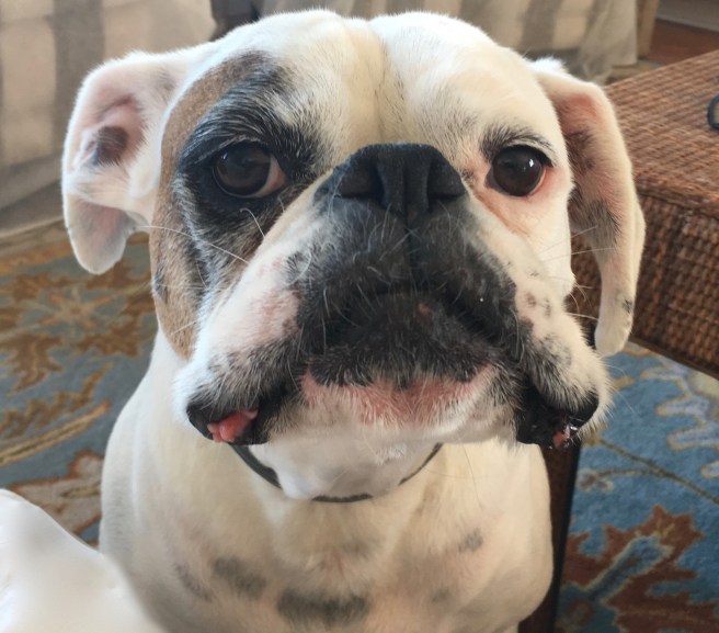 Lucy