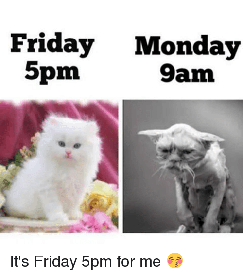 TGIF