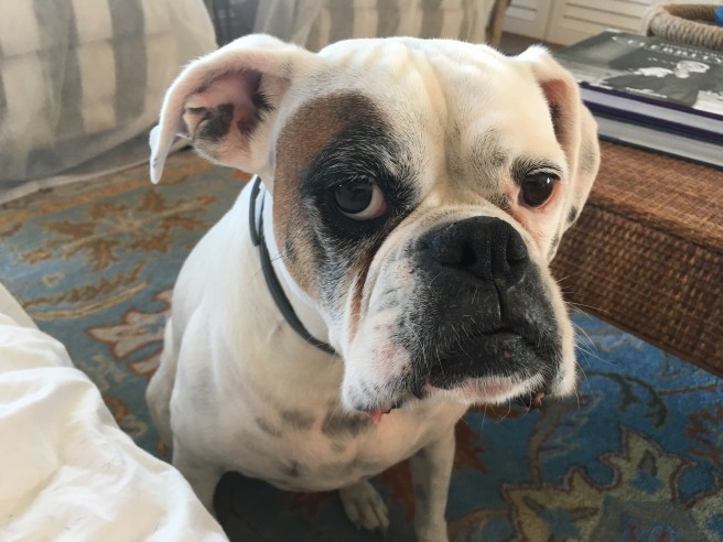 Lucy