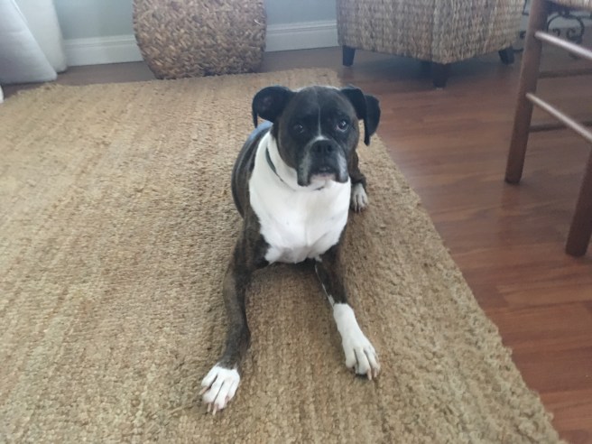 Bailey