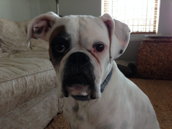 Lucy