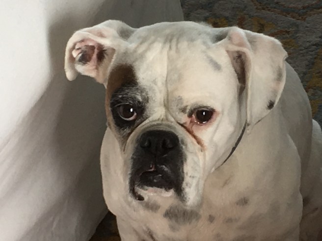 lucy
