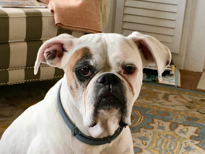 Lucy