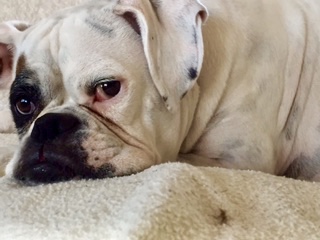 Lucy