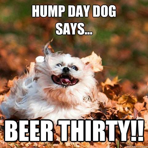 Hump Day