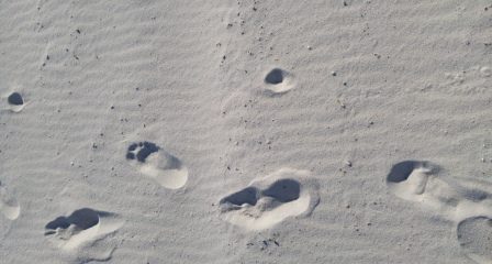 Footprints in the sand