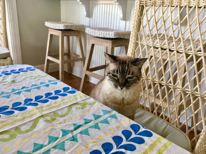 Stella