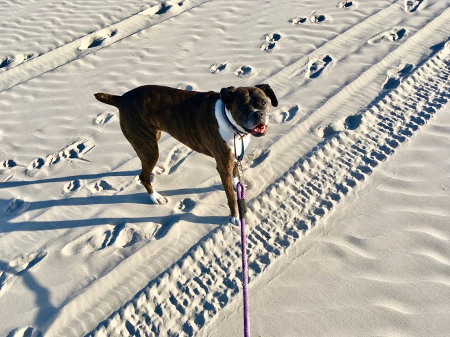 Bailey