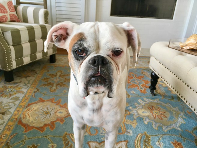 Lucy