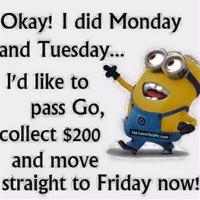 Hump Day