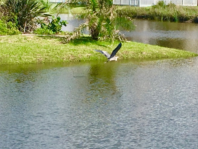 Views of the Neighborhood