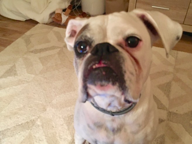 Lucy