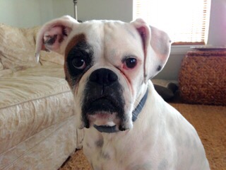 Lucy