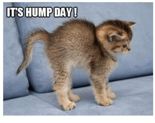 Hump Day