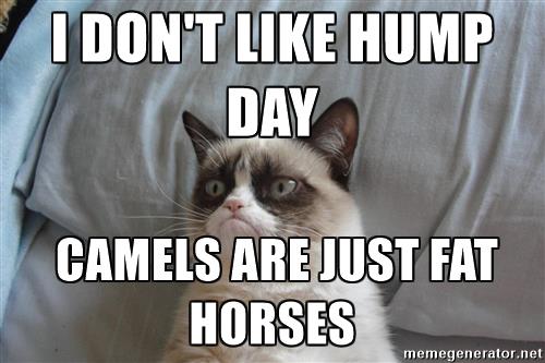 Hump Day