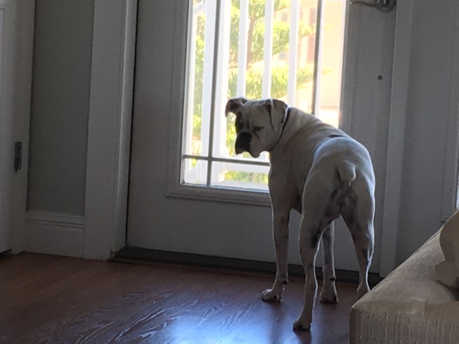 Lucy