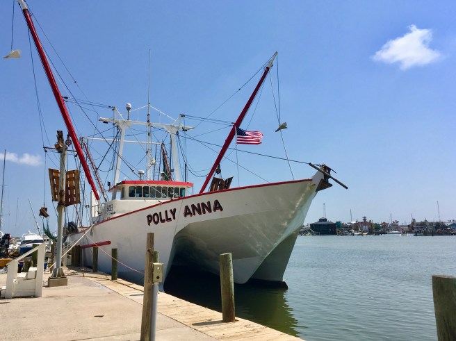 The Poly Anna