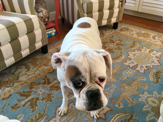 Lucy