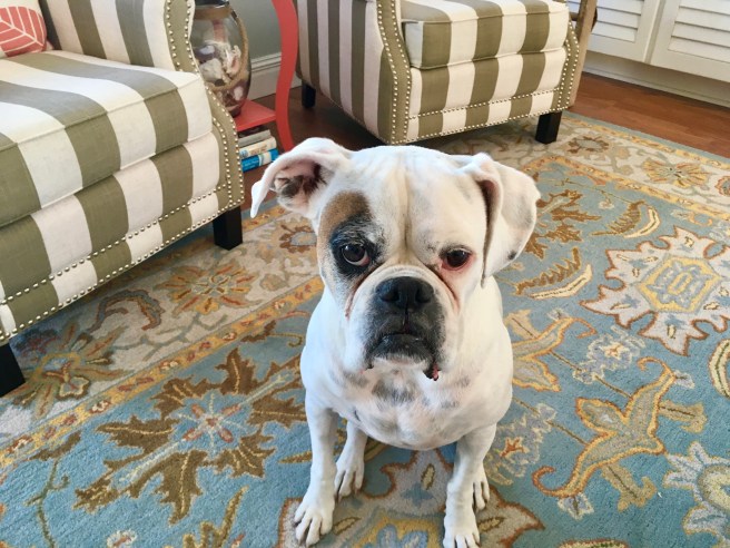 Lucy