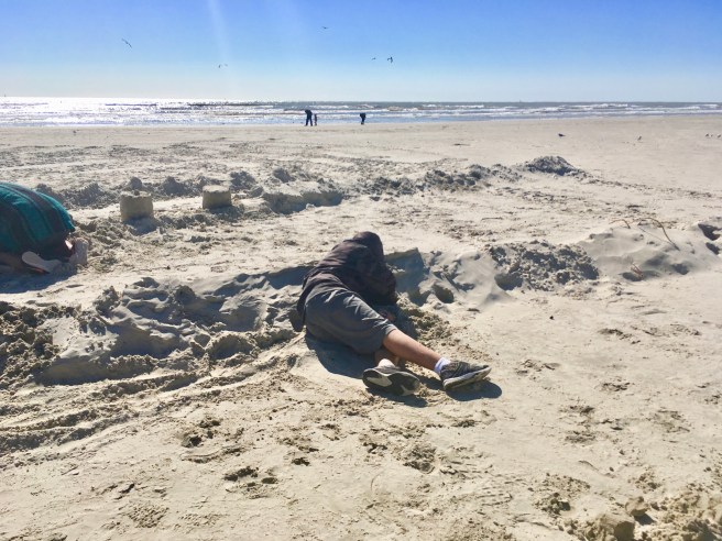 Pumpkins on the Beach