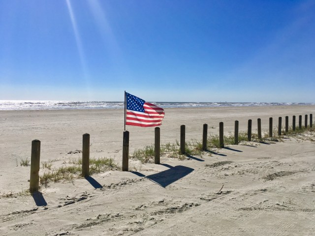 Pumpkins on the Beach