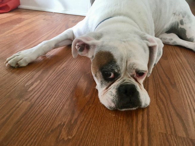 Lucy