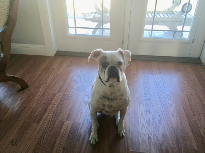Lucy