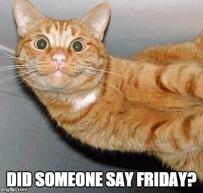 Funny Friday