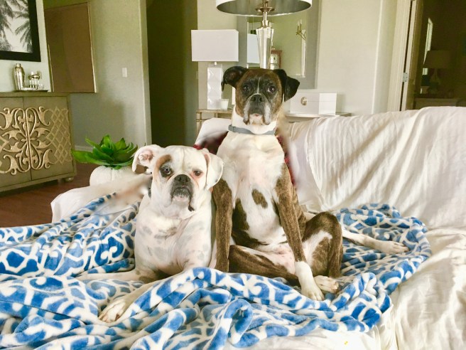 Lucy and Bailey