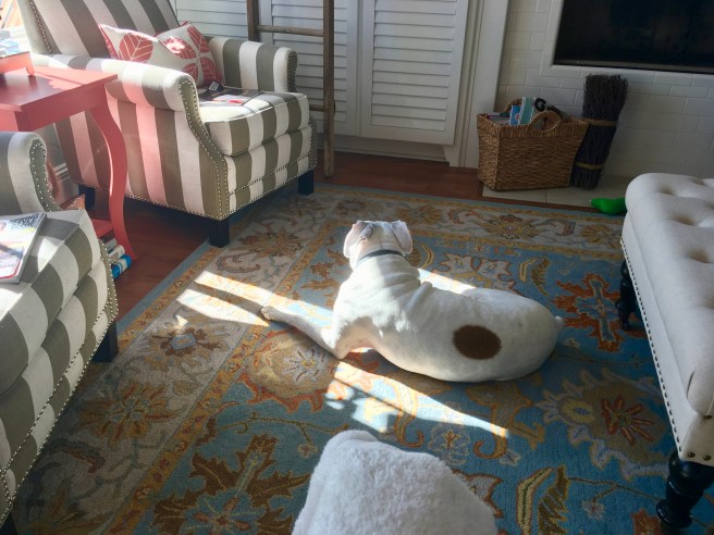Lucy and Bailey