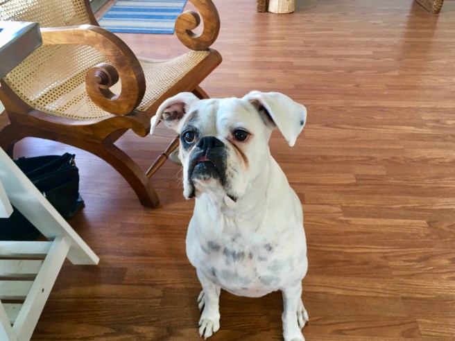 Lucy
