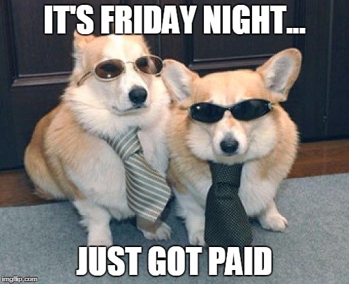 Funny Friday