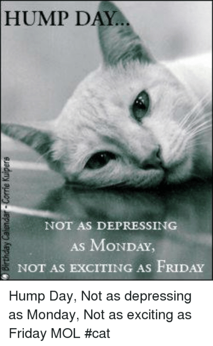 Hump Day