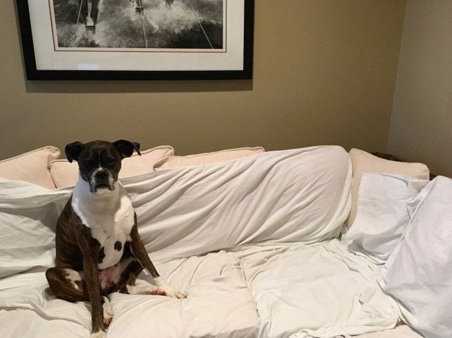 Lucy and Bailey
